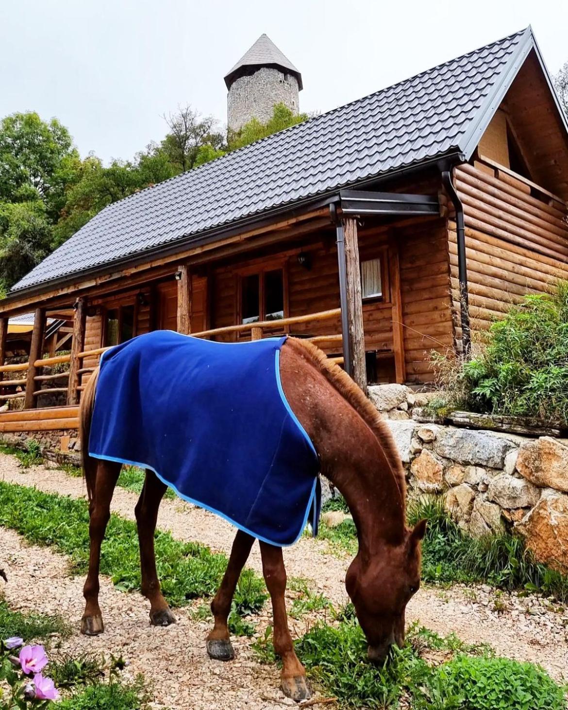 Vila Koliba 30Svibnja Perusic Exteriér fotografie